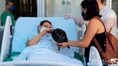 Projeto de Hospital de Cubatão realiza sonho de paciente