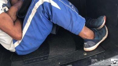 O Canil da GM de Jundiaí prendeu um procurado pela justiça que estava circulando pelo bairro Ponte São João.  As rondas no bairro estão