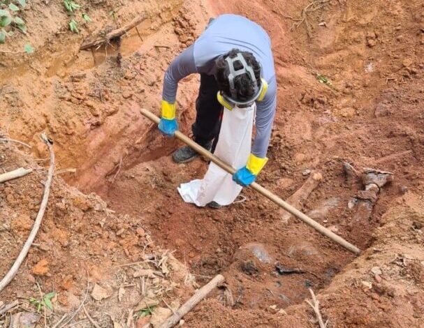 Últimos corpos localizados em cova de Jarinu são identificados