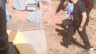 Polícia investiga motivação e autoria do crime de Jarinu