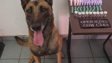 Canil da GM realiza apreensão de drogas em Jundiaí