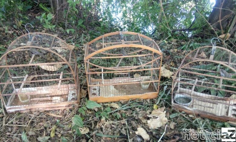 Aves em cativeiro são soltas pela Polícia Ambiental