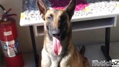 Killer ajuda na apreensão de quase 1 quilo de drogas