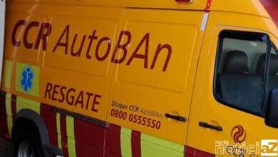 Carro atropela cavalo em Jundiaí