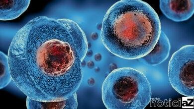 5 mortes são registradas em Jundiaí neste sábado