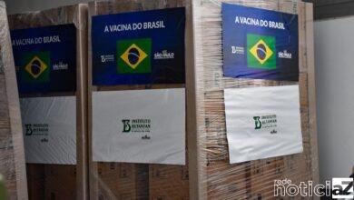 Ministério da Saúde recebe 2 milhões de doses da CoronaVac