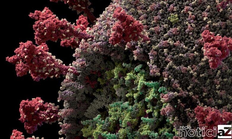 Jundiaí contabiliza mais cinco mortes por Covid-19