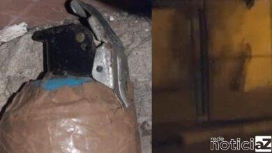 Granada é encontrada dentro de uma casa em Jundiaí