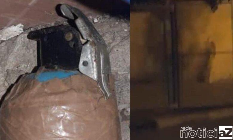 Granada é encontrada dentro de uma casa em Jundiaí