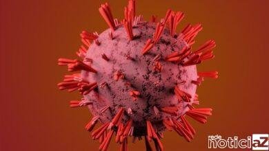 Alerta! Variante do coronavírus da Índia é identificada em São Paulo