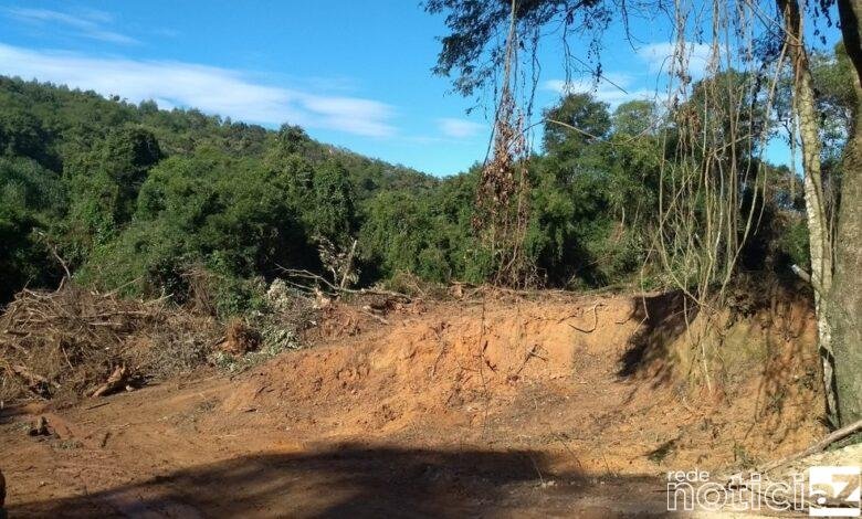 Homem é multado em R$ 150 mil por crime ambiental