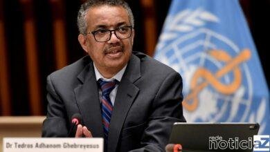 Chefe da OMS diz que a pandemia da Covid-19 está no platô