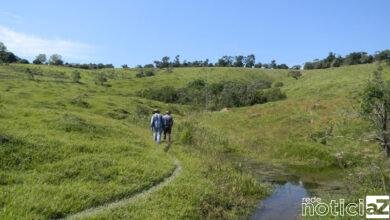 Áreas rurais de Jundiaí entram em processo de recuperação