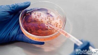 Vacina anticâncer é desenvolvida e gera esperança