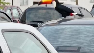 Condomínio de Jundiaí recebe uma visita ilustre