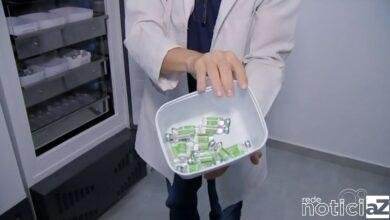 Região de Jundiaí suspende vacina da Covid em grávidas