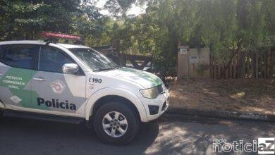 Polícia Ambiental combate crimes contra a flora