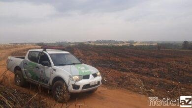 Área queimada rende multa de quase R$ 70 mil