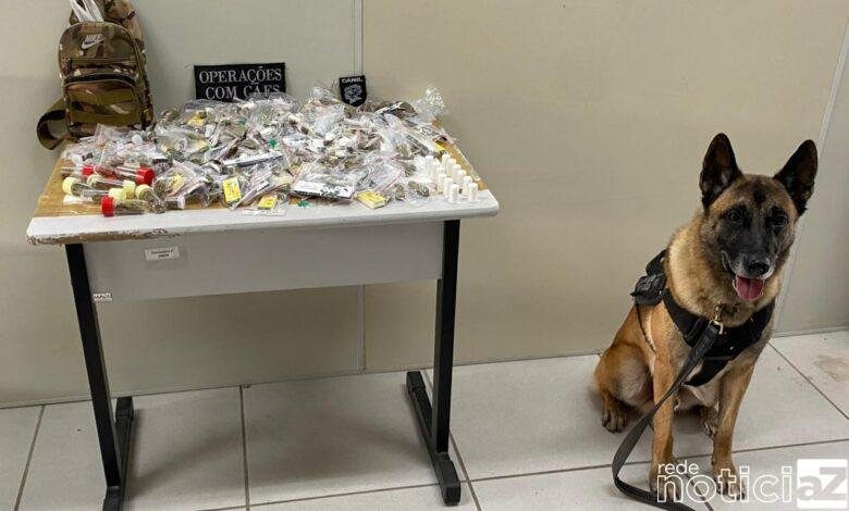 Cão da Guarda Municipal ajuda na apreensão de drogas e de um menor