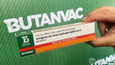 Anvisa libera testes da ButanVac em humanos