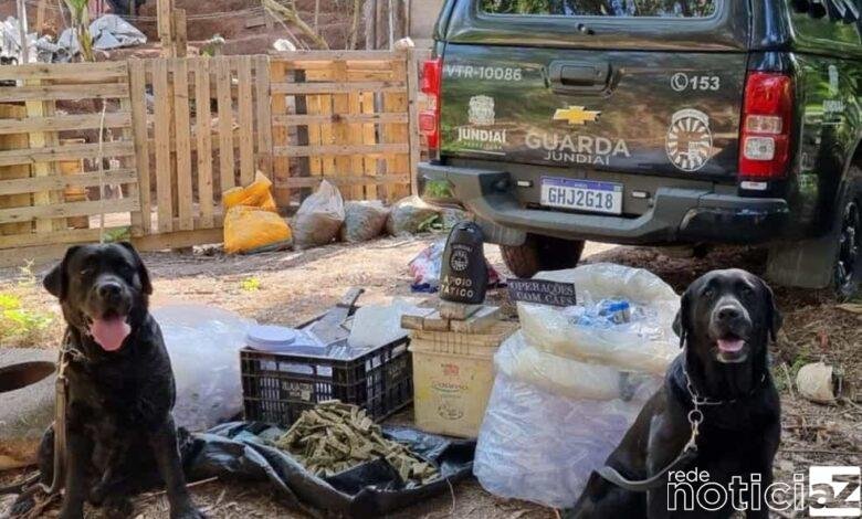 Canil da GM de Jundiaí prende homem com tijolos de maconha