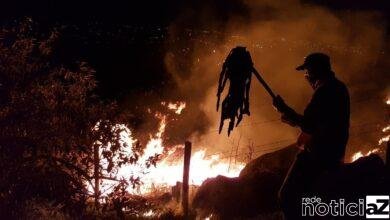 Na semana do Meio Ambiente, Jundiaí emite alerta contra queimadas