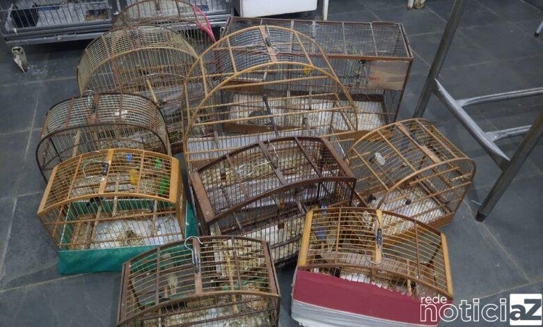 Polícia Civil prende homem acusado de maltratar animais em Campo Limpo