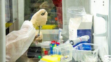 Os atendimentos feitos com uso de inteligência artificial, por meio do robô Laura Care, ajudaram a desafogar o sistema de saúde durante a pandemia de