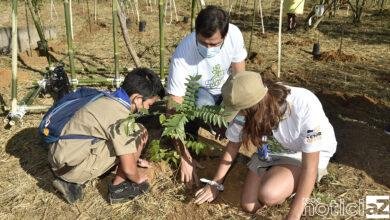 No Dia do Meio Ambiente, Jundiaí faz plantio simultâneo de árvores