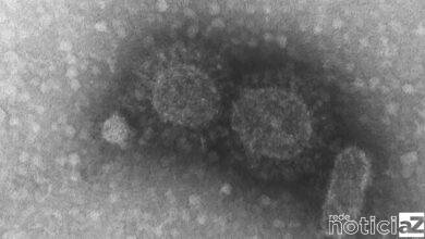 Secretaria de Desenvolvimento Urbano de Louveira tem atendimento presencial suspenso