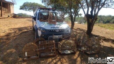 Polícia Ambiental apresenta balanço de operações em áreas rurais