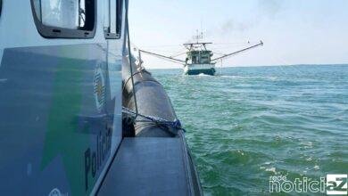 Pesca irregular de camarão rende multa superior a R$ 400 mil