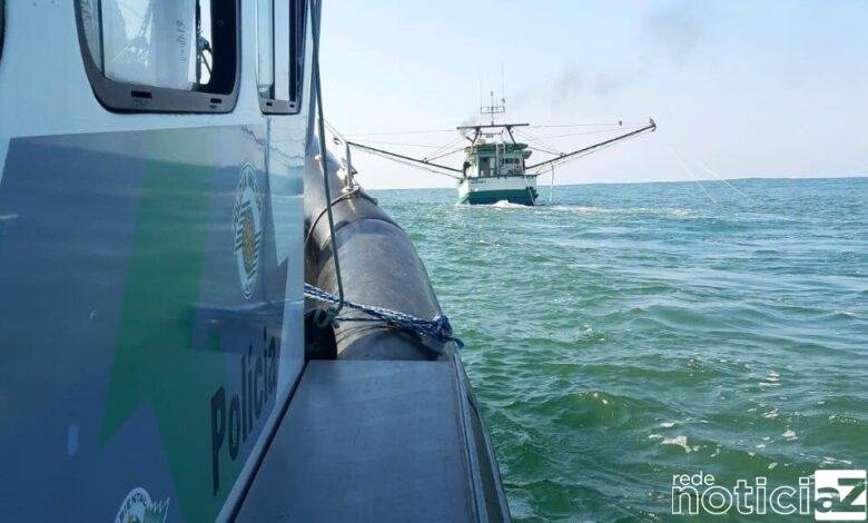 Pesca irregular de camarão rende multa superior a R$ 400 mil