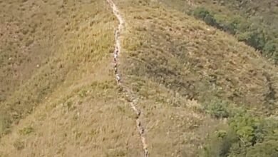 Aceiro de proteção chega a 1 Km em serra de Várzea Paulista