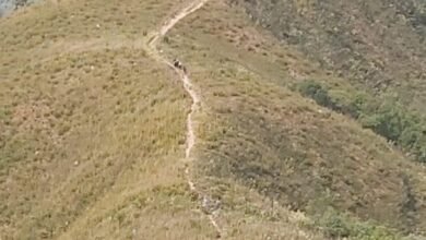 Aceiros preventivos são feitos em Várzea Paulista