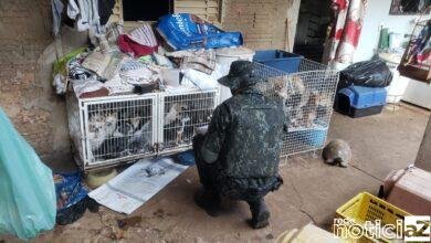 Polícia Ambiental multa em quase R$ 150 mil por maus tratos