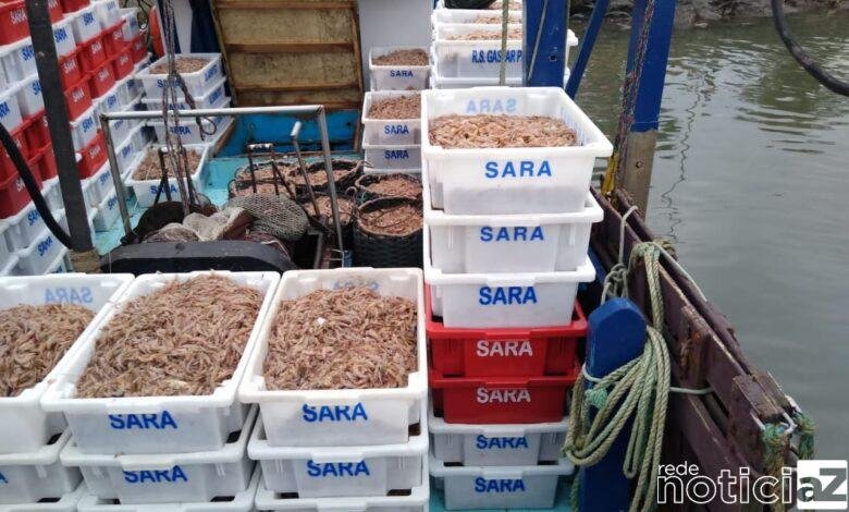Pesca irregular em Bertioga rende multa acima de R$ 200 mil