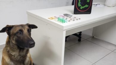 Canil da Guarda de Jundiaí ajuda a apreender menor envolvido no tráfico