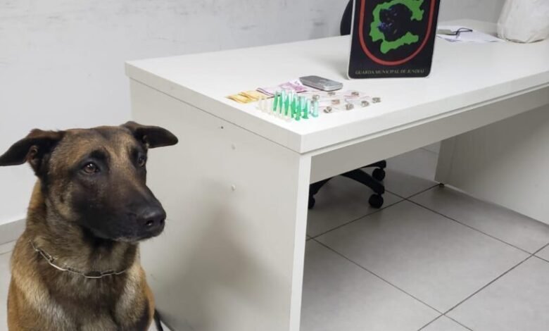Canil da Guarda de Jundiaí ajuda a apreender menor envolvido no tráfico