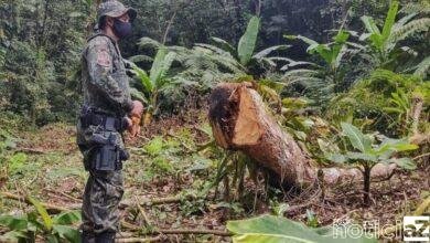 Área degradada gera multa superior a R$ 150 mil em Itariri