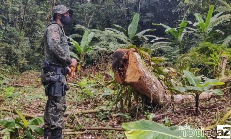 Área degradada gera multa superior a R$ 150 mil em Itariri
