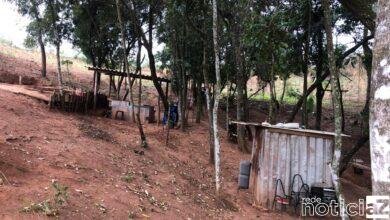 Área de vegetação nativa de Louveira sofre devastação