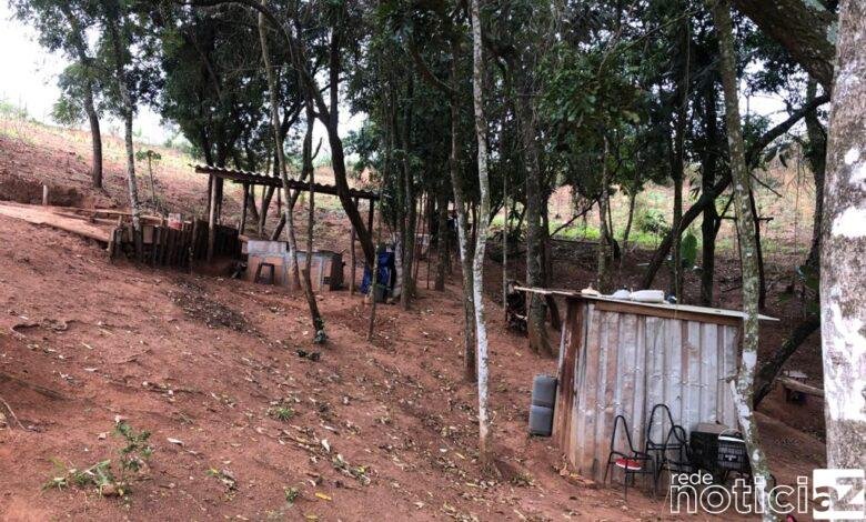 Área de vegetação nativa de Louveira sofre devastação