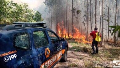 Fogo toma conta de fazenda de Cabreúva há 3 dias