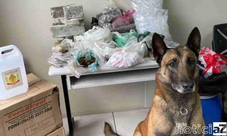 Uma equipe de operações com cães da Guarda Municipal de Jundiaí apreendeu mais de 10kg de drogas. A equipe estava realizando rondas