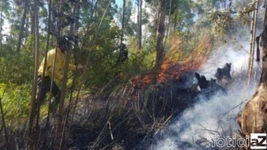 Serra do Japi sofre novo incêndio