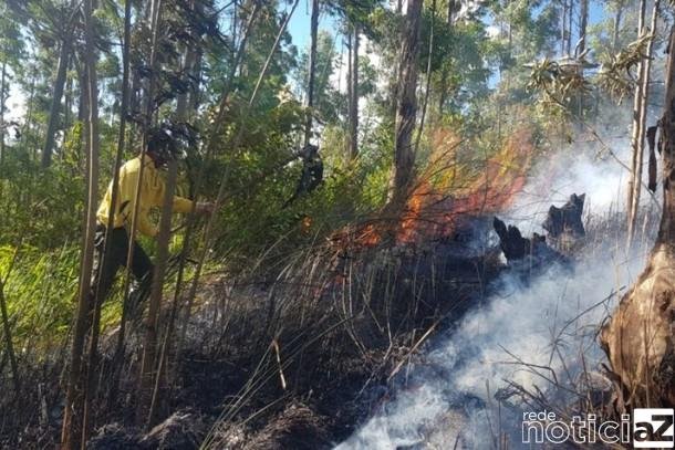 Serra do Japi sofre novo incêndio