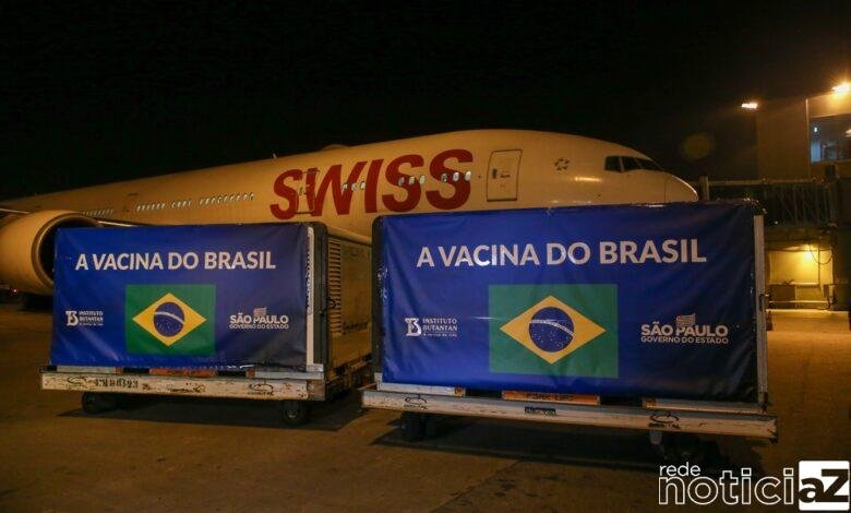 Lote para produzir 20 milhões de doses da CoronaVac chega ao Brasil