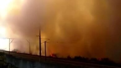 Vegetação de Jundiaí é consumida pelas chamas