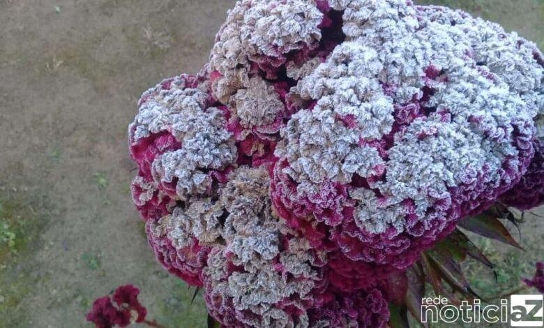 Semana começa com frio intenso na Região de Jundiaí